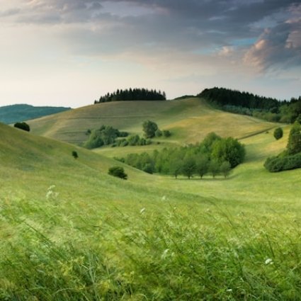 claudio-testa--SO3JtE3gZo-unsplash