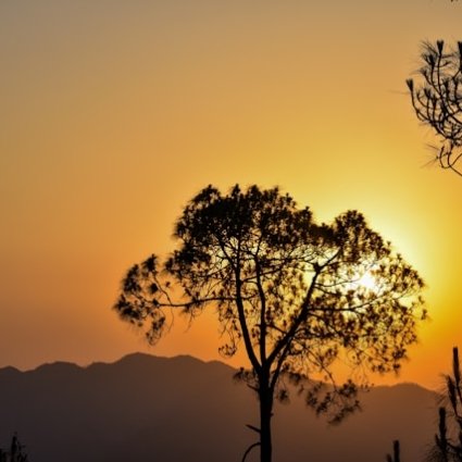 neelakshi-singh-Sxo5R-dwAkw-unsplash