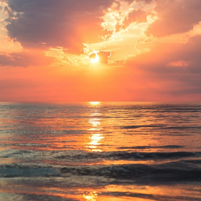 sebastien-gabriel--IMlv9Jlb24-unsplash